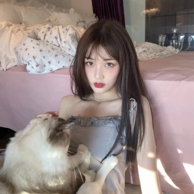 南宋传奇之蟋蟀宰相